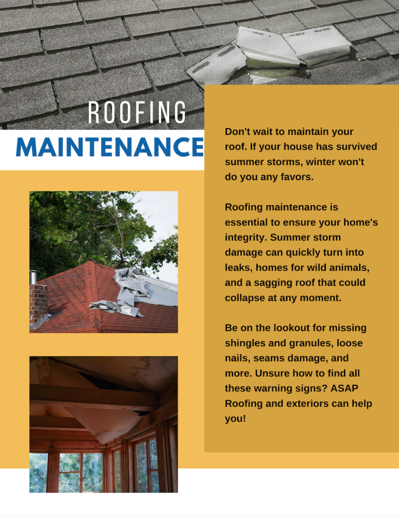Roofing Maintenance