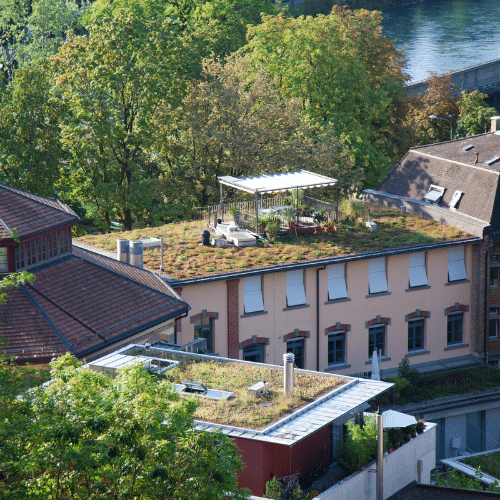 Read more about the article Go Green With Green Roofs